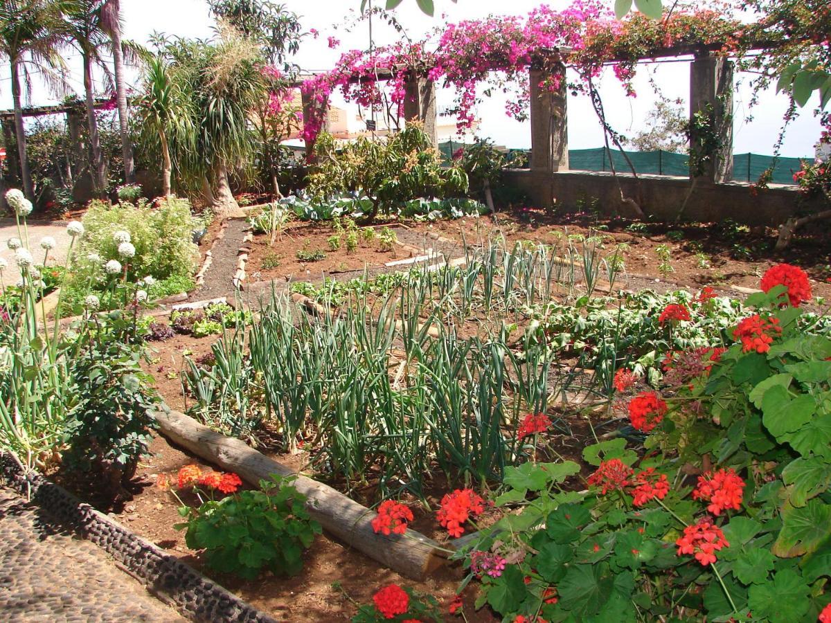 شقة Quinta Do Bom Sucesso فونشال المظهر الخارجي الصورة
