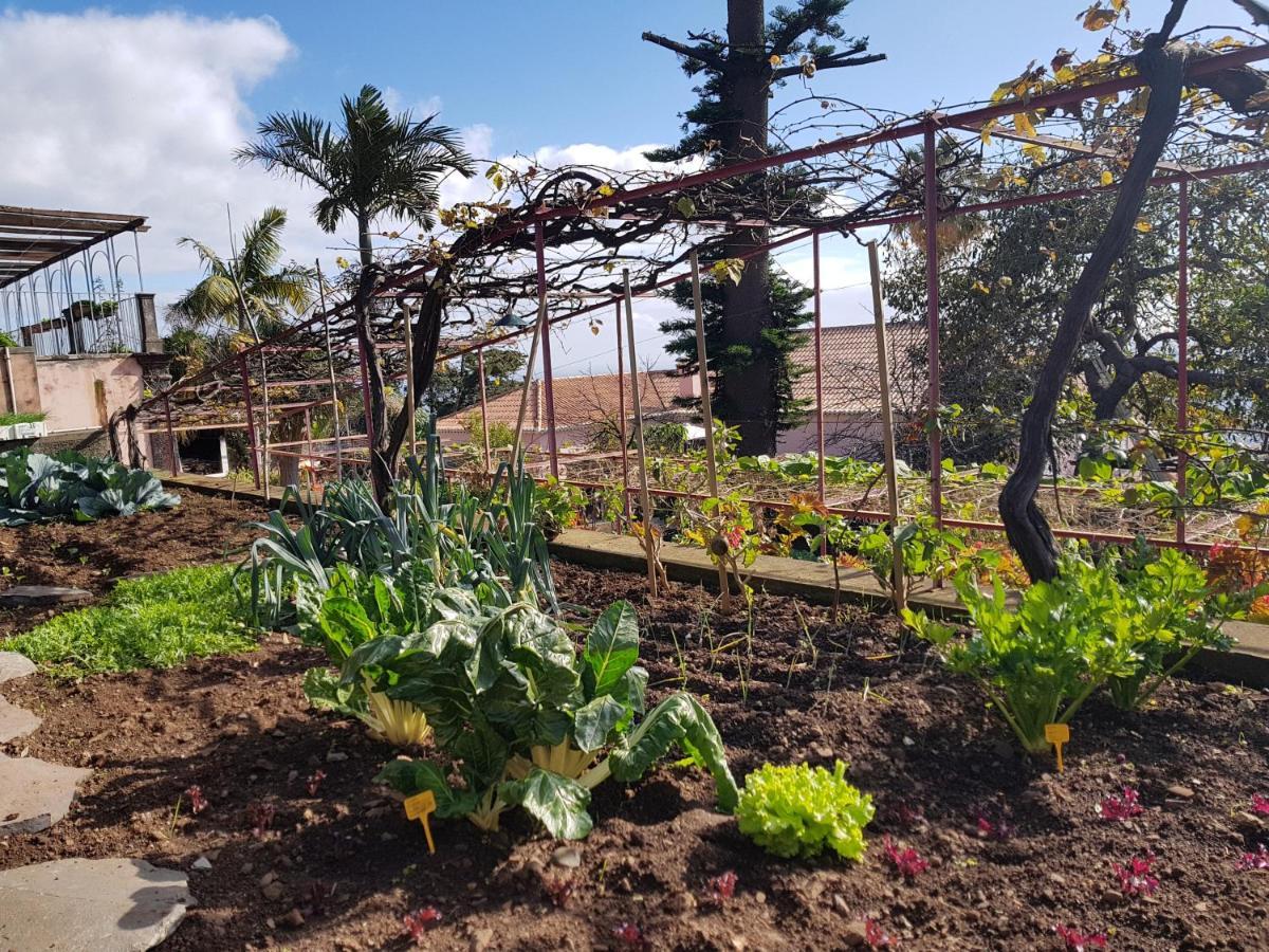 شقة Quinta Do Bom Sucesso فونشال المظهر الخارجي الصورة