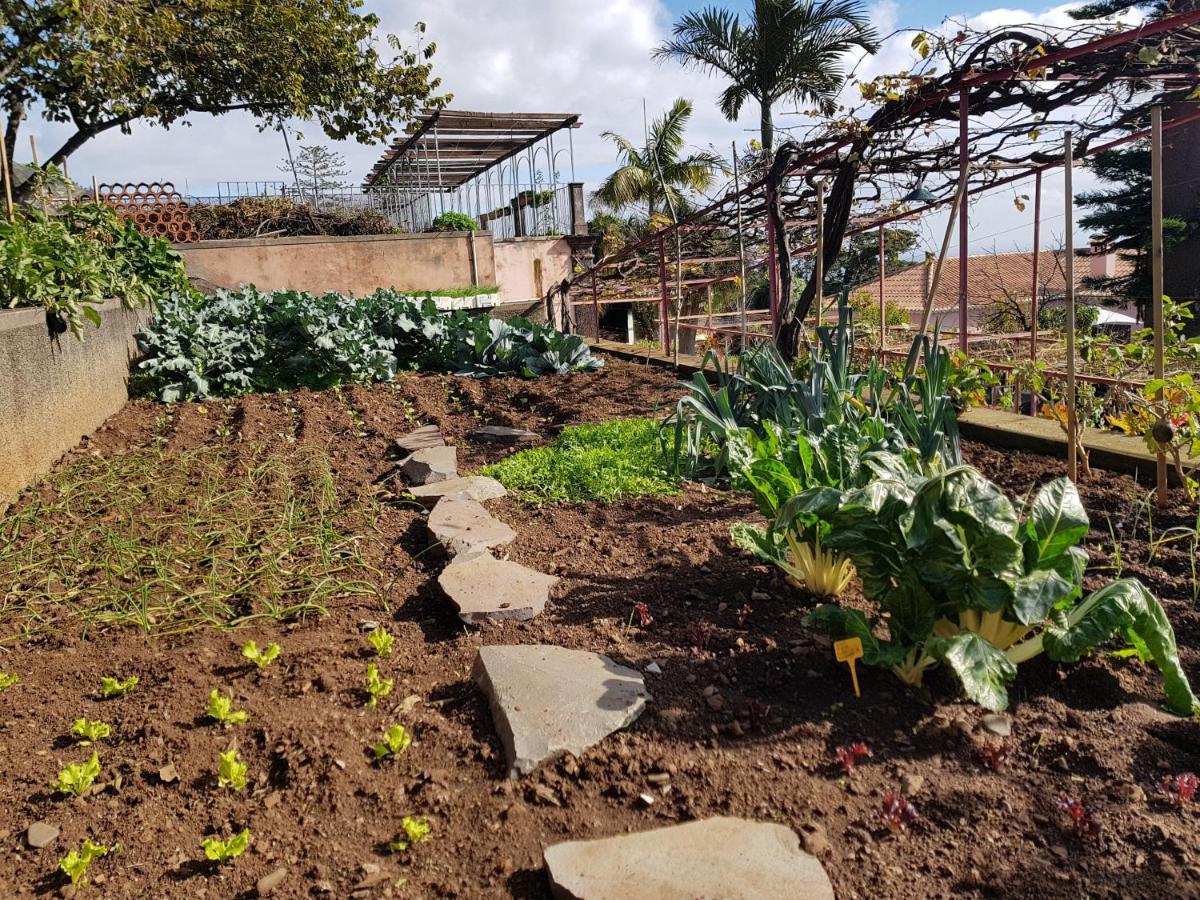 شقة Quinta Do Bom Sucesso فونشال المظهر الخارجي الصورة